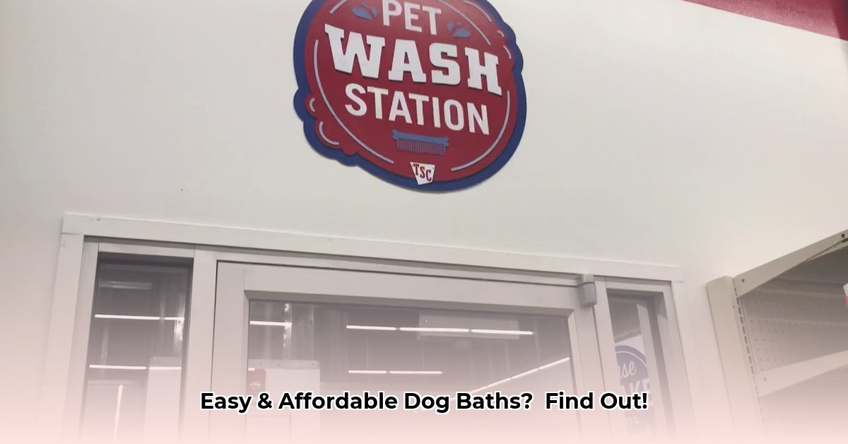 dog-bath-at-tractor-supply
